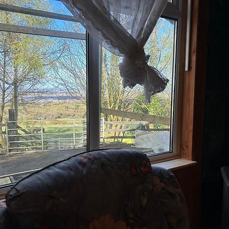 Cozy Room In A Barn With Farm View 都柏林 外观 照片