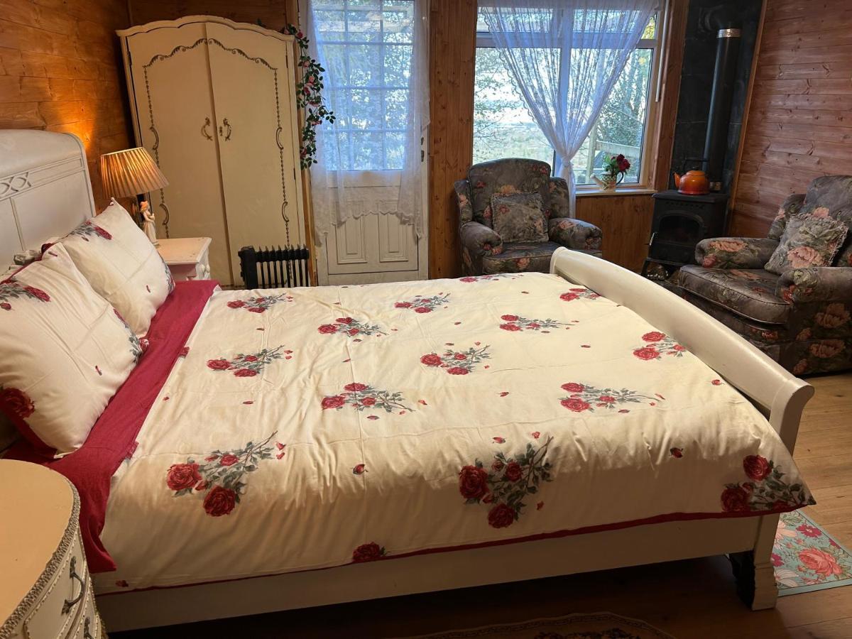 Cozy Room In A Barn With Farm View 都柏林 外观 照片