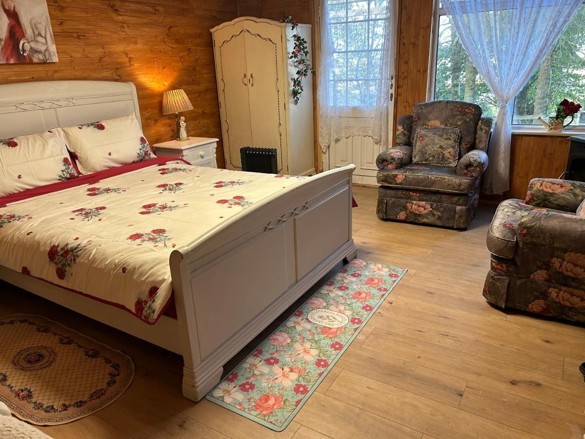 Cozy Room In A Barn With Farm View 都柏林 外观 照片