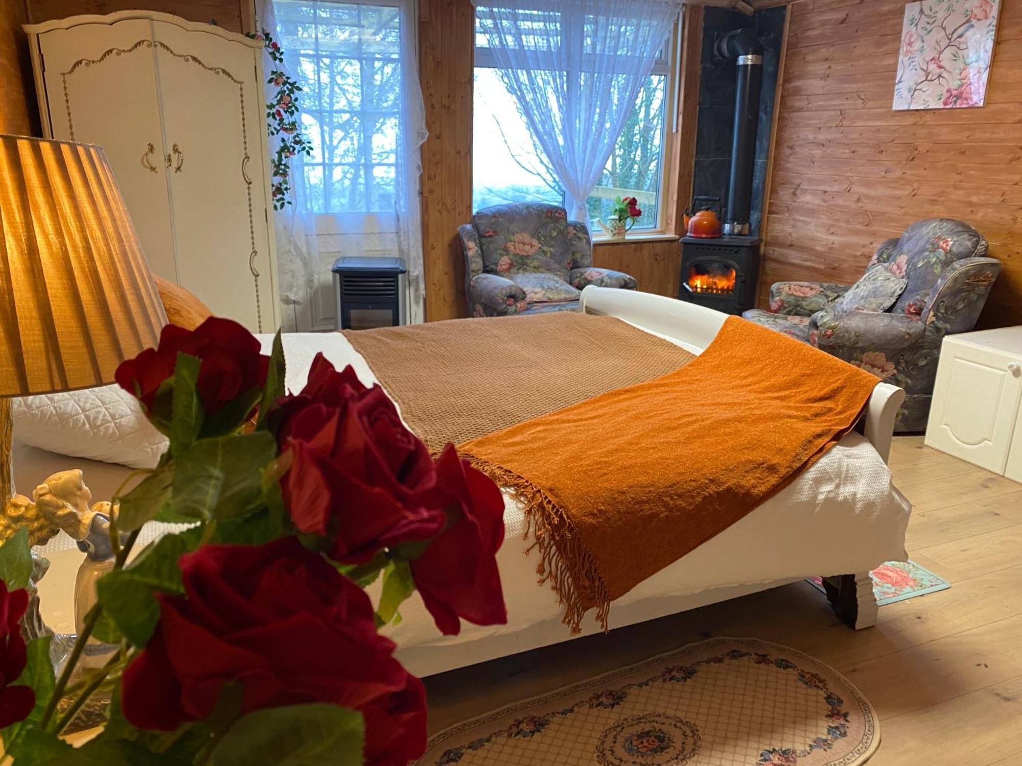 Cozy Room In A Barn With Farm View 都柏林 外观 照片