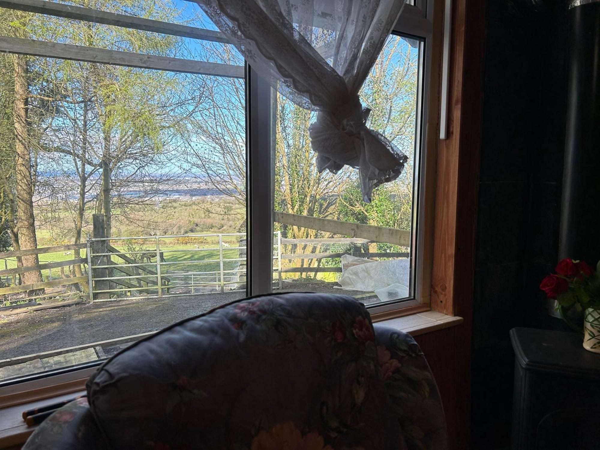 Cozy Room In A Barn With Farm View 都柏林 外观 照片