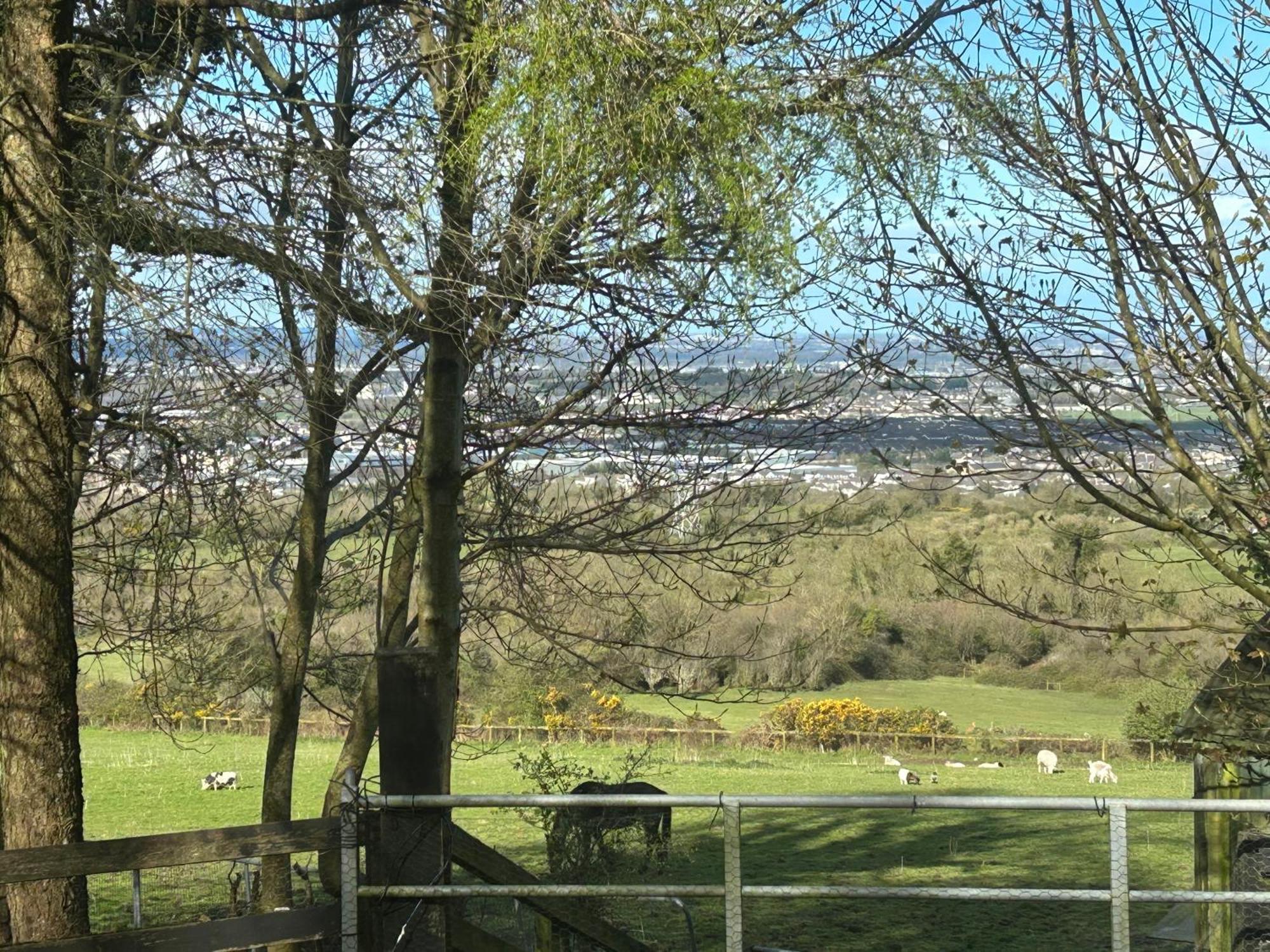 Cozy Room In A Barn With Farm View 都柏林 外观 照片